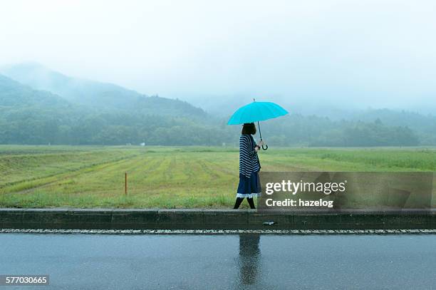 woman holding an umbrella in a rice field - rainy season stock pictures, royalty-free photos & images