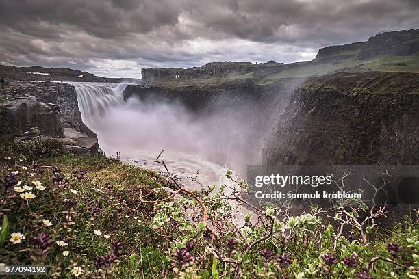 detifoss waterfall in summer;iceland. - dettifoss falls stock pictures, royalty-free photos & images