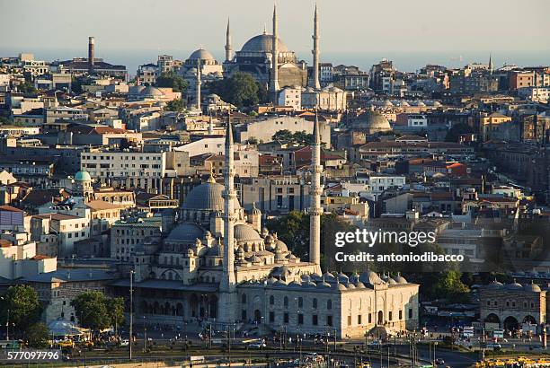 mosques in istanbul - shrine of hazrat ali stock pictures, royalty-free photos & images