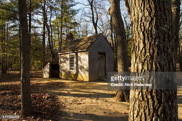 thoreau's cabin at walden pond - thoreau imagens e fotografias de stock