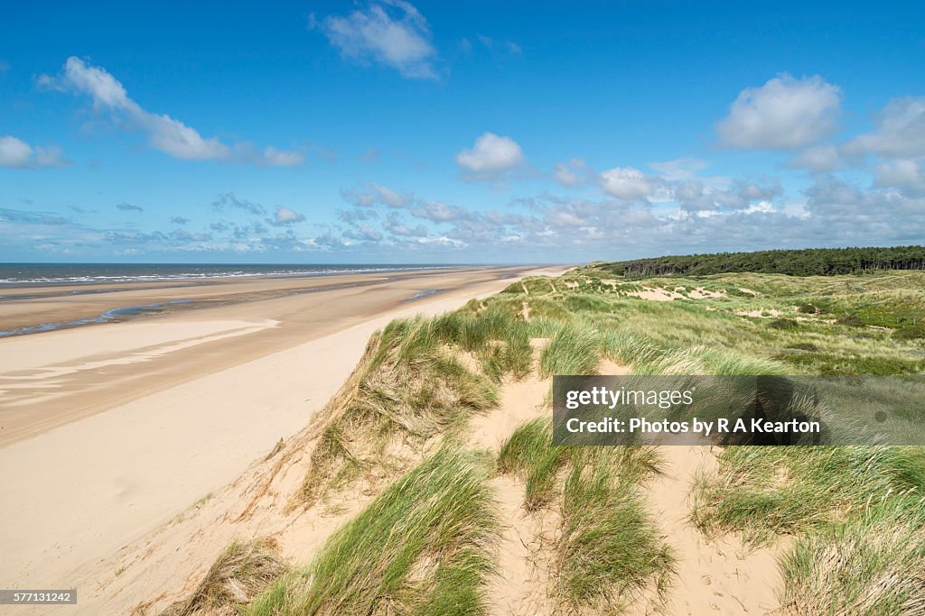 On top of the sand dunes at Formby point, Merseyside, England