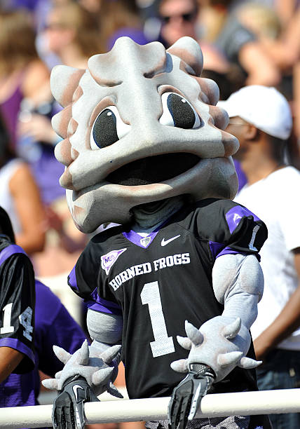 Texas Rangers Frog 64 Texas Christian Horned Frog Stock Photos, High-Res Pictures, and ...