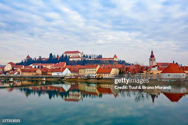 slovenia, lower styria region, ptuj - ptuj stock pictures, royalty-free photos & images