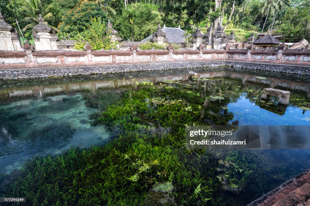 Holy spring water in Bali