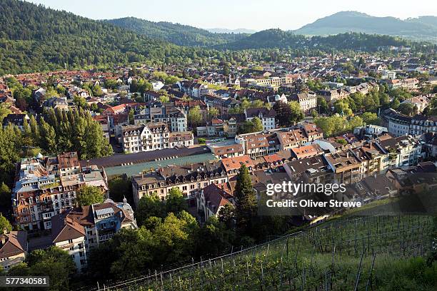 freiburg from schlossberg - freiburg im breisgau stock-fotos und bilder