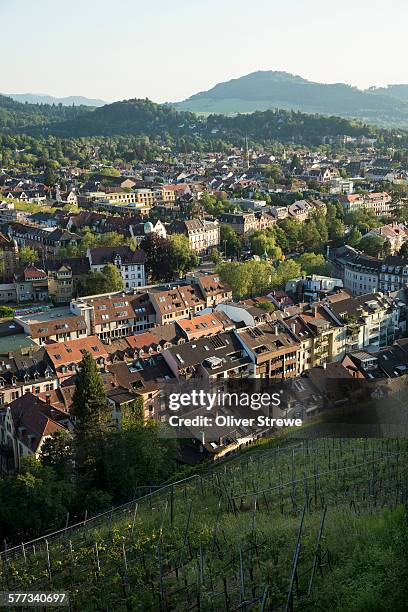freiburg and vineyards - freiburg im breisgau stock-fotos und bilder