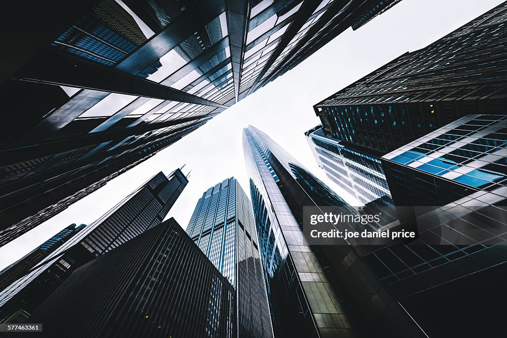 Looking Up, Chicago, Illinois, America