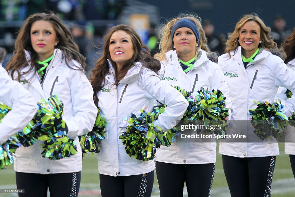 NFL: FEB 05 Super Bowl XLVIII - Seahawks Super Bowl Parade