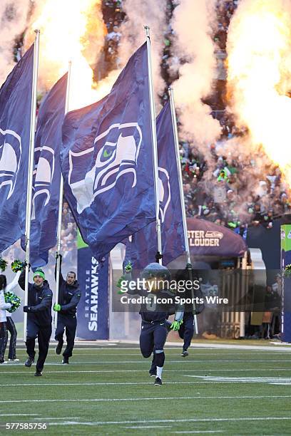 Seattle Seahawks mascot Blitz lead the players out on the field. Seattle Seahawks players and 12th man fans celebrated bringing the Lombardi trophy...