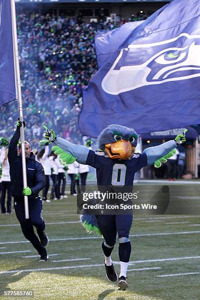 Seattle Seahawks mascot Blitz lead the players out on the field. Seattle Seahawks players and 12th man fans celebrated bringing the Lombardi trophy...