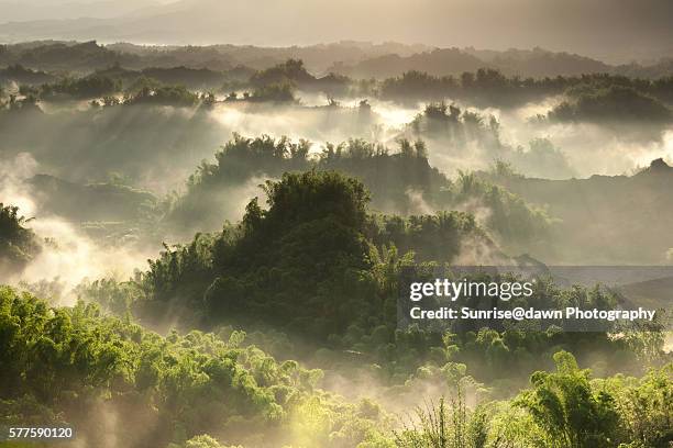 golden mist in green valley - sunrise@dawn photography stockfoto's en -beelden