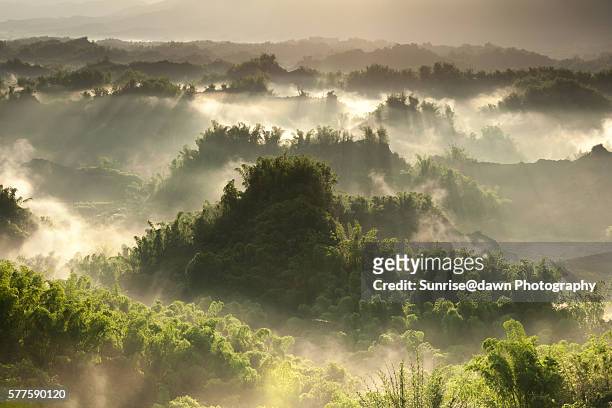 golden mist in green valley - smokey mountain spring stock pictures, royalty-free photos & images