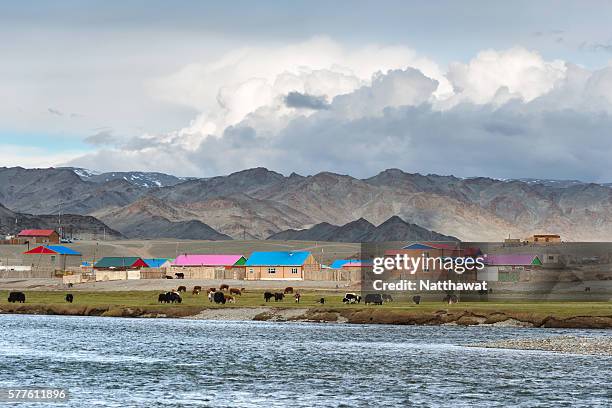 khovd river valley and tsengel village, bayan-olgii province, mongolia - altai mountains bildbanksfoton och bilder