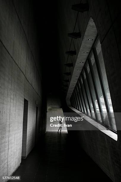 a fashion model posing with rays of sunlight - clair obscur stockfoto's en -beelden