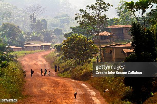 driving through the forest - gabon stock-fotos und bilder