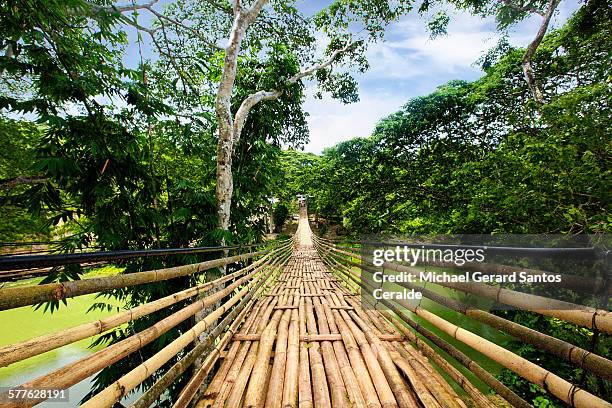 hanging bamboo footbridge of bohol - bohol stock pictures, royalty-free photos & images