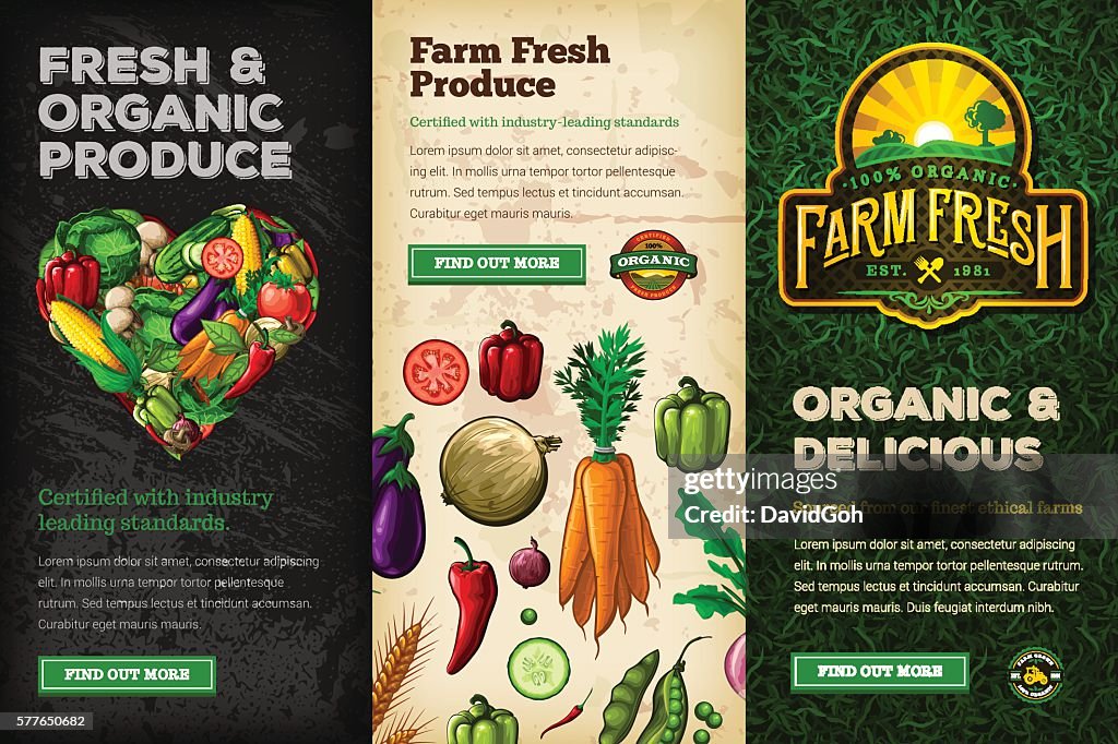 Conjunto de banners web de Organic Farm Fresh