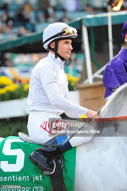 November 06, 2009 SILVER SWALLOW, Alex Solis during a race at Santa Anita Race track in Arcadia California during the Breeders Cup World Championship...