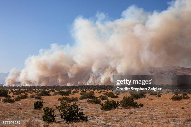 california desert wildfire - california wildfires stock-fotos und bilder