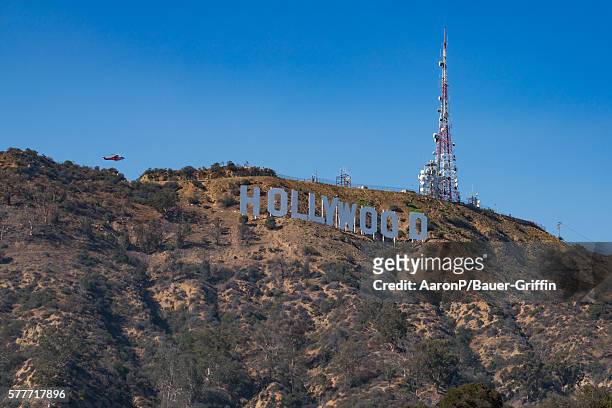 Wildfire burns in the Hollywood hills on July 19, 2016 in Hollywood, California.