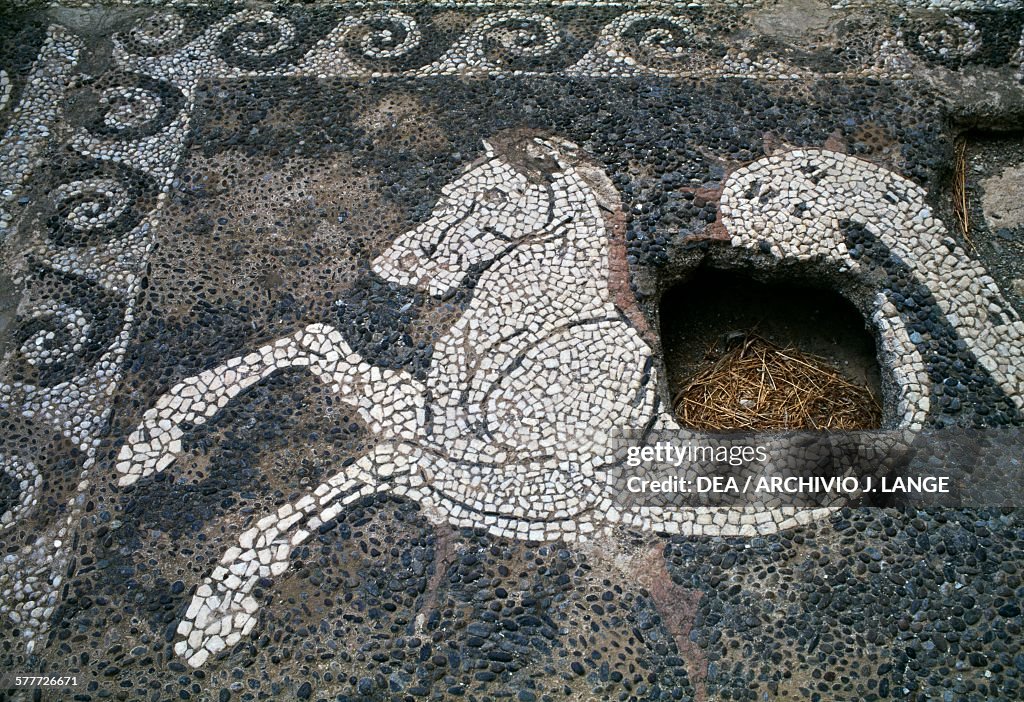 Mosaic floor depicting hippocamus, Lebena