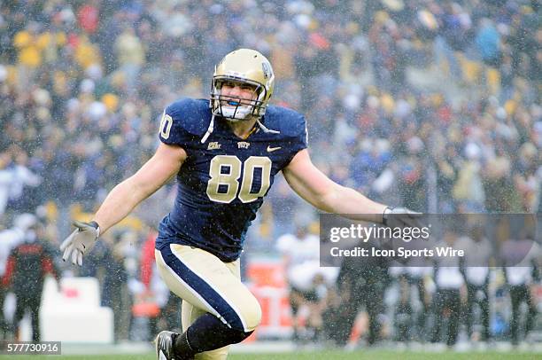 Pittsburgh Panthers Nate Byham celebrates a Pitt touchdown run by Bill Stull during the first half of the Big East game between Cincinnati and...