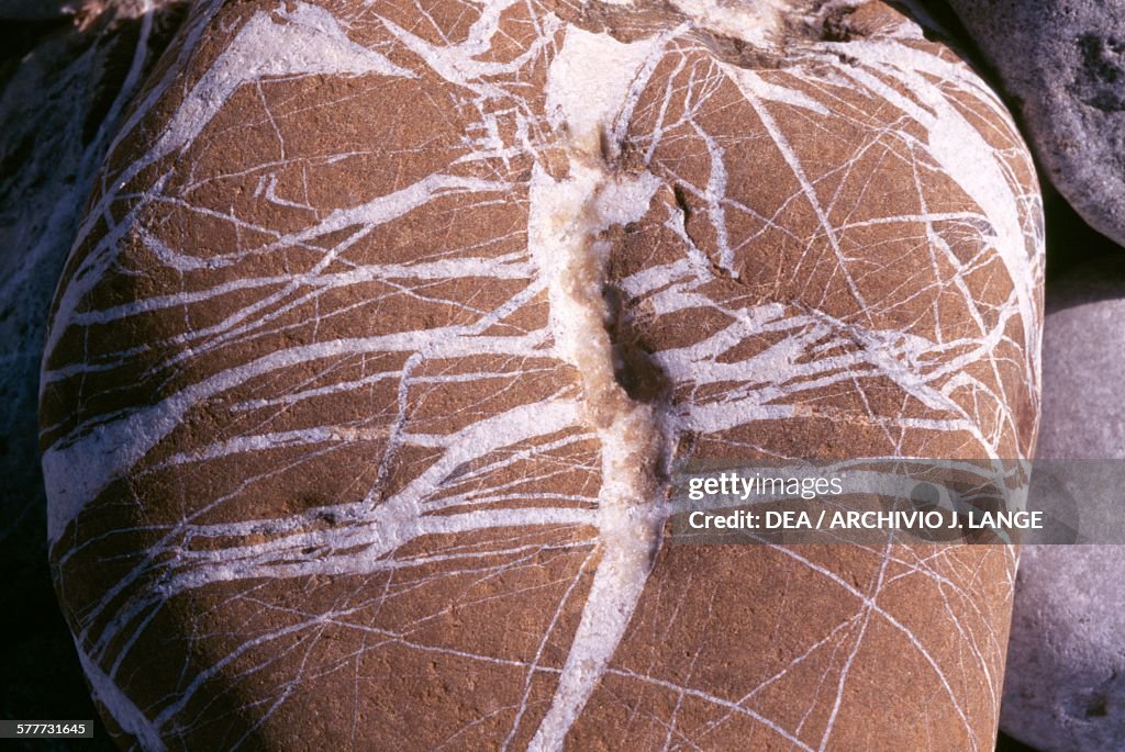 Brown rock with white lines, Agia Galini, Crete...