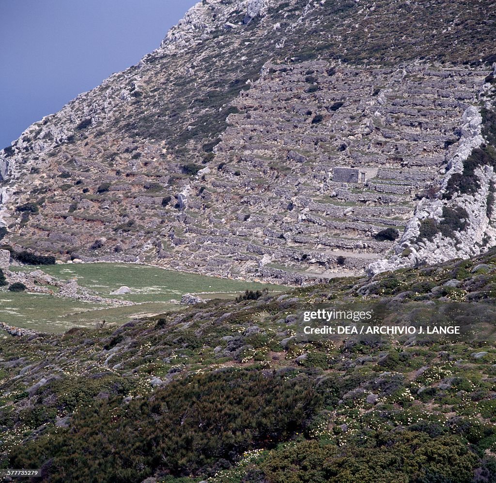 Terraces near Olympos, Karpathos island...