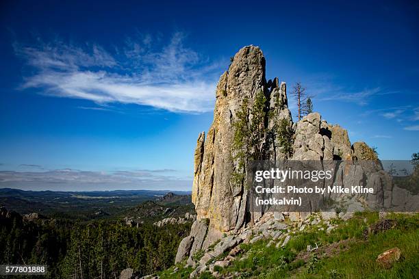 upward - black hills stock pictures, royalty-free photos & images