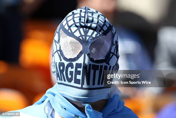 Argentina fan. The Argentina National Team defeated the South Korea National Team 4-1 at Soccer City Stadium in Johannesburg, South Africa in a 2010...
