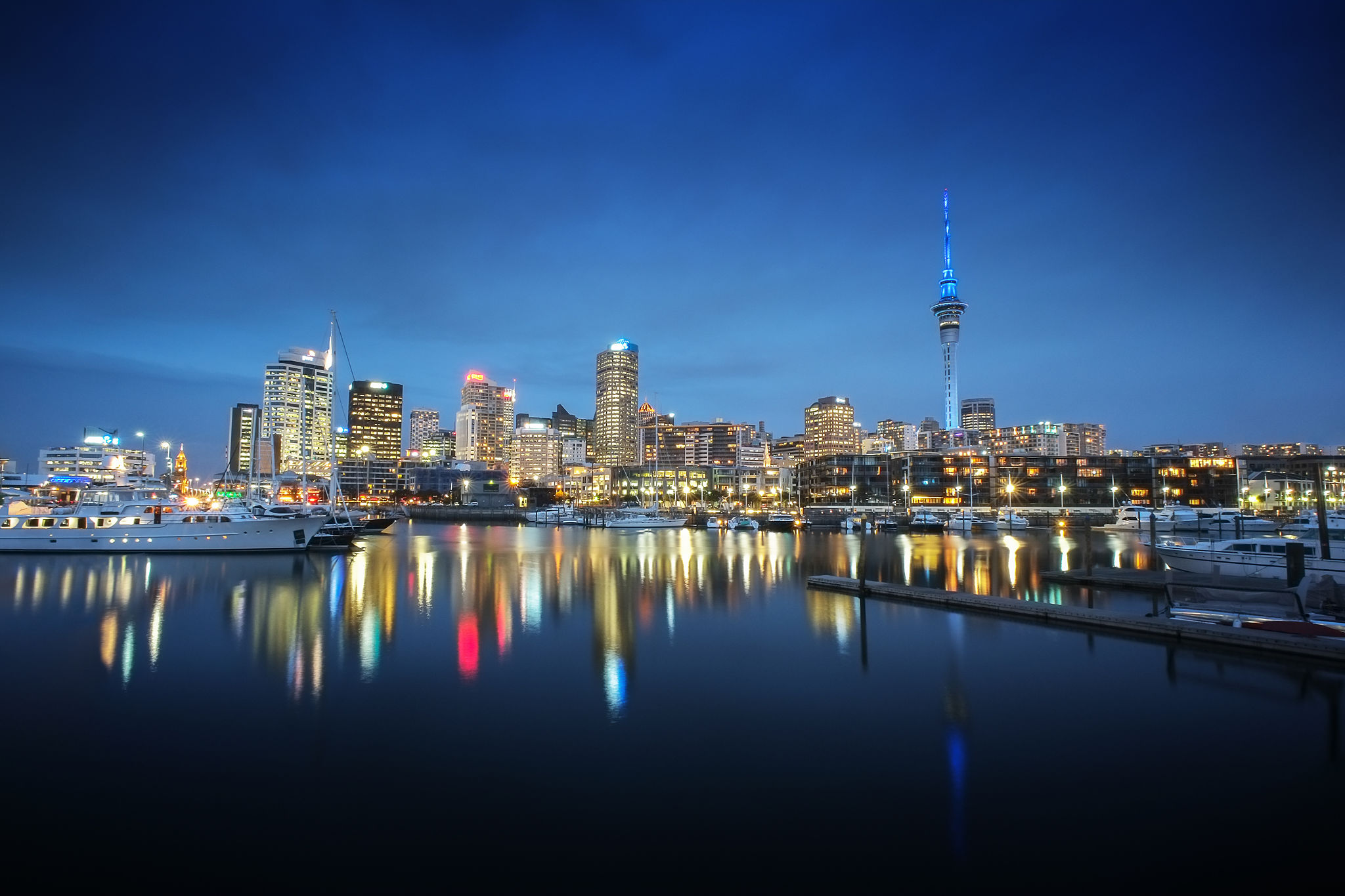 auckland night