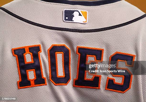 Houston Astros Outfield L.J. Hoes [8203] during a regular season MLB game between the Houston Astros and Texas Rangers at Globe Life Park in...