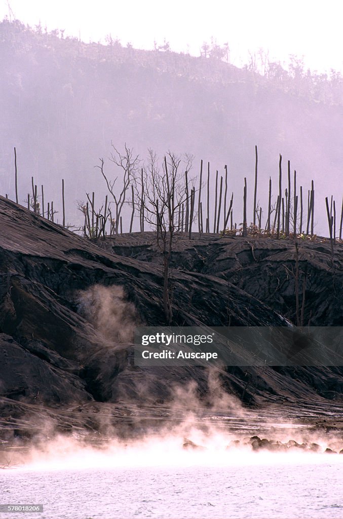 Landscape near Rabaul devastated by 1994 explosion of volcano Mount Tavurvur