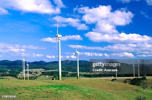 Wind turbines and rain forested slopes of the Atherton Tableland beyond. Windy Hill Wind Farm is Queensland's largest, with 20 turbines. Windy Hill...