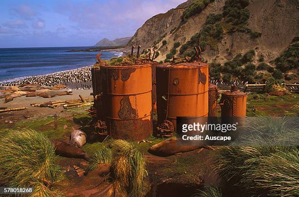 Seal and penguin digesters, Between 1810 and 1919, seals and then penguins populations were almost eliminated for their fur and oil, Each King...