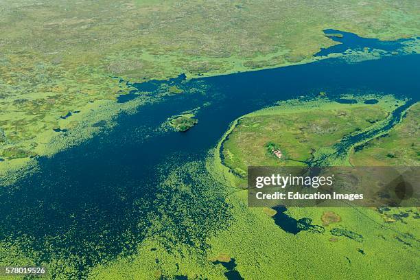 Aerial view of wetlands to the south west of Lake Victoria, Uganda.