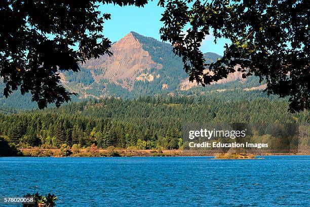 View north across the Columbia River from a riverside park in Cascade Locks Oregon.