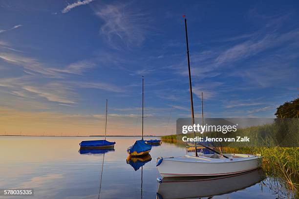 sailing boats and reed - harderwijk stockfoto's en -beelden