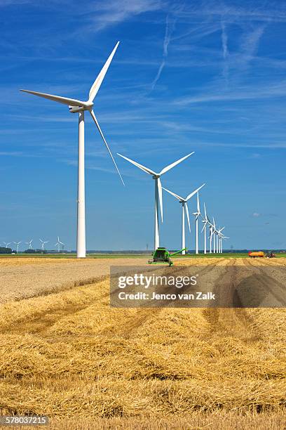 harvesting wheat and wind - jenco van zalk stock pictures, royalty-free photos & images