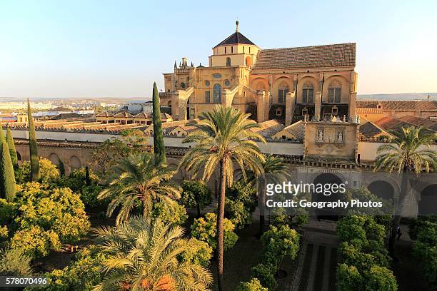 Raised angle view of Great Mosque, Mezquita cathedral, former mosque building in central, Cordoba, Spain.