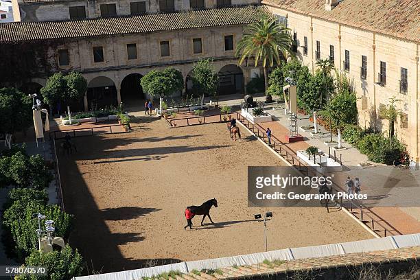 Raised angle view courtyard of equestrian center, Caballerizas Reales de Cordoba, Royal Stables, Cordoba, Spain.