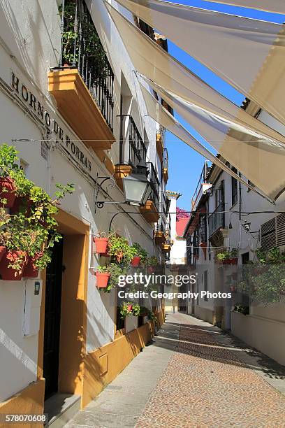 Attractive shaded houses cobbled street in of part of city, Horno de Porras, Cordoba, Spain.