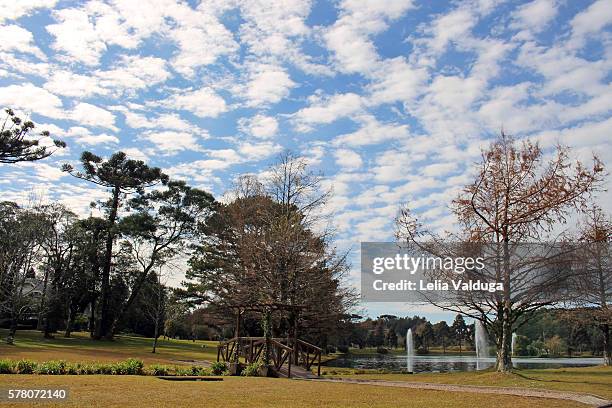 urban parks - canela - rs - brazil - rio grande city stock pictures, royalty-free photos & images