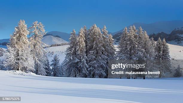 snowfields - snowfield fotografías e imágenes de stock