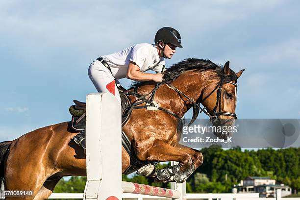 show jumping - horse with rider jumping over hurdle - mane stock pictures, royalty-free photos & images