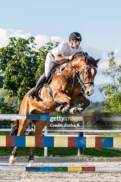 equitação cavalo e cavaleiro saltar sobre obstáculo - equestrian show jumping - fotografias e filmes do acervo