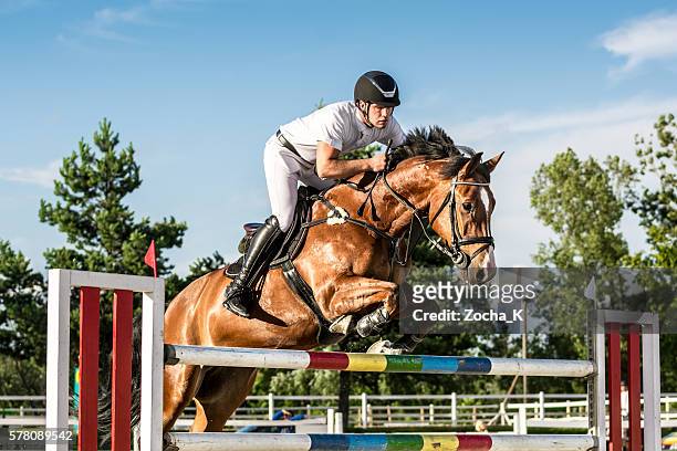 springreiten-pferd mit fahrer springt über die hürde - jockey stock-fotos und bilder