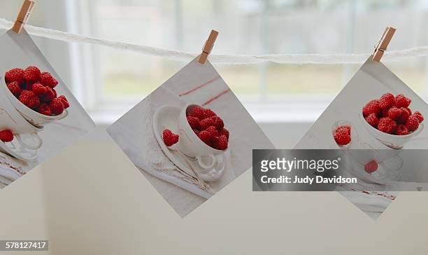 pictures of raspberries clothes pinned - gruppenfoto stock-grafiken, -clipart, -cartoons und -symbole