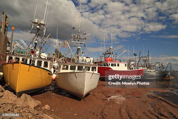 low tide, alma nb - bay of fundy stockfoto's en -beelden