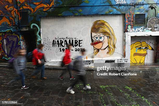 Mural is seen in Hosier Lane on July 21, 2016 in Melbourne, Australia. The original mural by Melbourne graffiti artist Lushsux depicted Taylor Swift,...